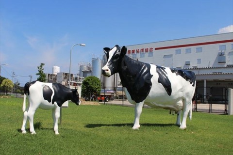 琴浦グルメdeめぐるウオーク（5ｋｍコース）