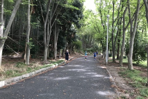 クロスカントリー走 練習会 4K×4セット【服部緑地】