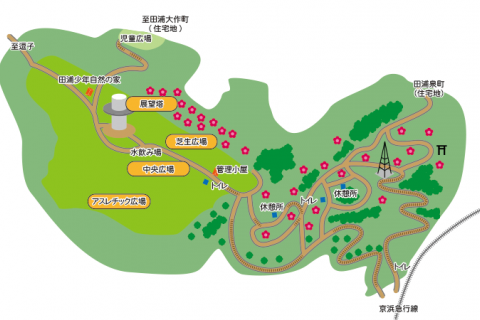 2025年1月に延期。第5回 YOKOSUKA Jr TRAIL RUN ＆ 駅伝 in 田浦梅の里