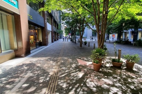 皇居Andレインボーブリッジ３０キロＬＳＤ(ペース目安：キロ7分)