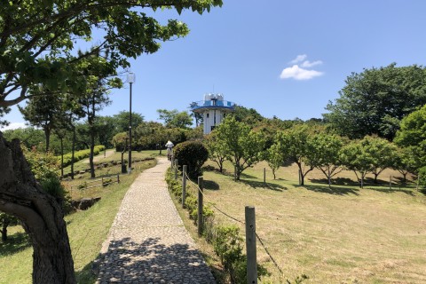 2025年1月に延期。第5回 YOKOSUKA Jr TRAIL RUN ＆ 駅伝 in 田浦梅の里