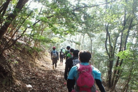 箕面北摂山系 チャレンジトレイル 約26km 初冬編　（美人の湯 祥風苑 入浴券付き）