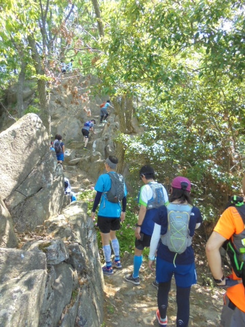 険しい山道も登ります