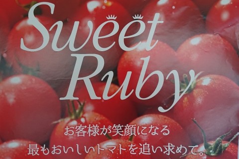 第8回佐木島エコマラソン