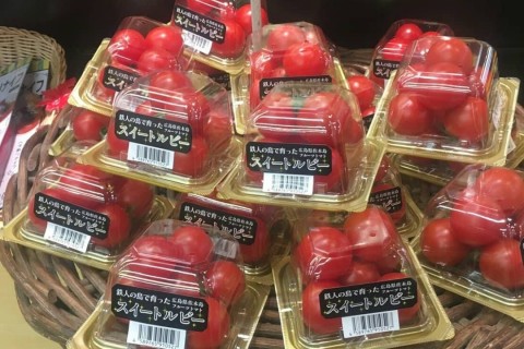 第8回佐木島エコマラソン