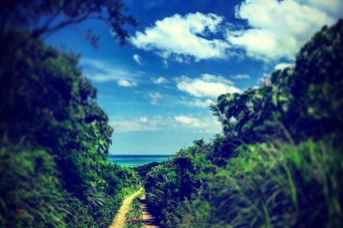 第４回石垣島オーシャンビュートレイルラン＆ウォーク　兼　全日本ジュニアトレイルランプレ大会