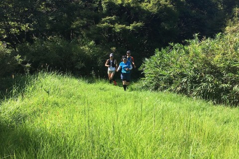 Morning Trail 〈平和公園〉