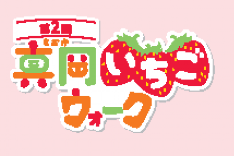 第2回　真岡いちごウオーク