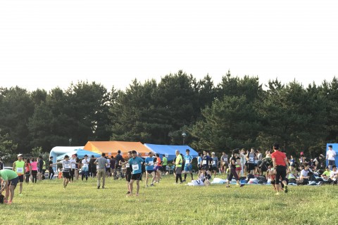 【ボランティア募集】2020葛西臨海公園ナイトハーフマラソン（4月・6月・7月・9月）