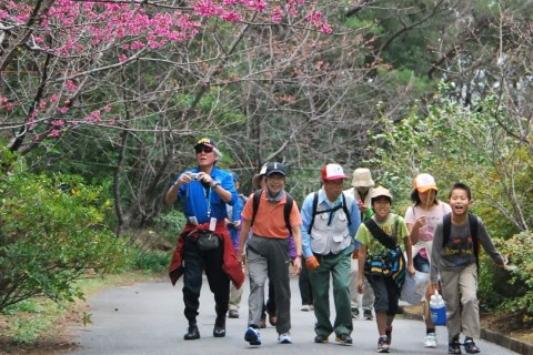 第13回久米島のんびりウォーク