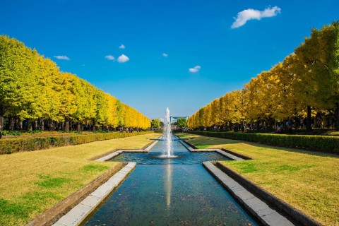 ウィンターハーフマラソン大会2025＠国営昭和記念公園