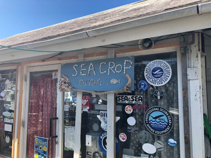 シークロップダイビングスクール