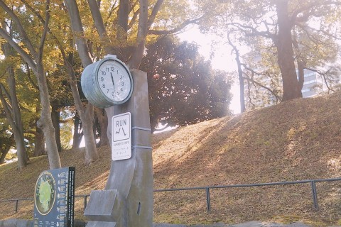 チャリティマラソン in 皇居