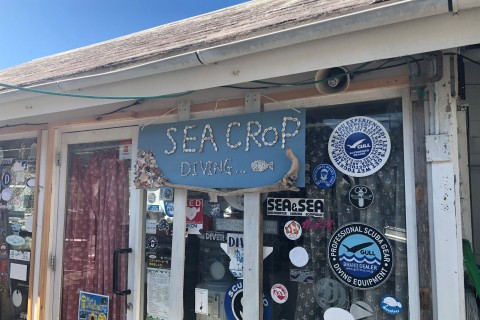 シークロップダイビングスクール