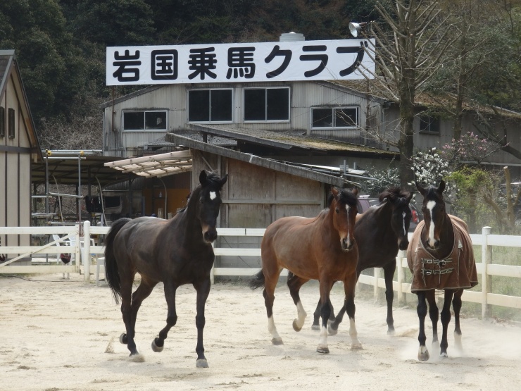 岩国乗馬クラブ