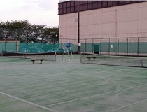 【裾野市民体育館】　テニスコート