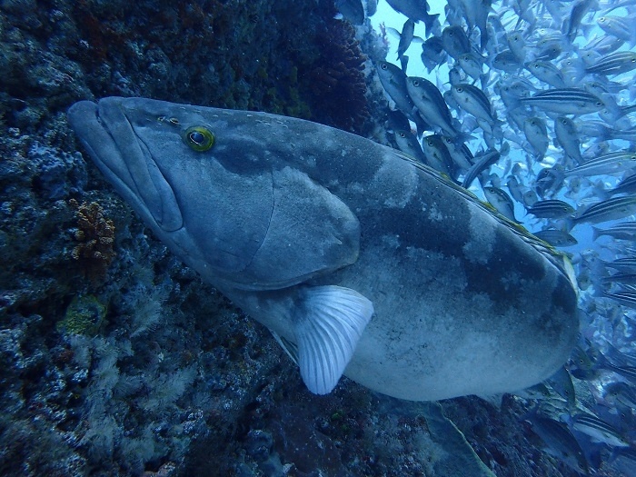 西川名オーシャンパーク
