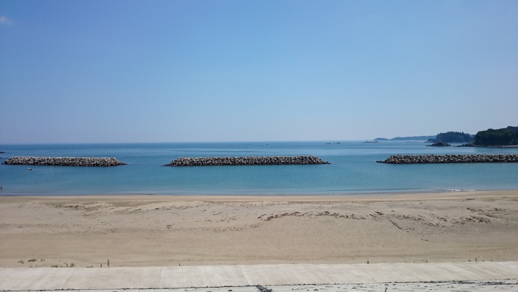 かぶとむしサーフショップ