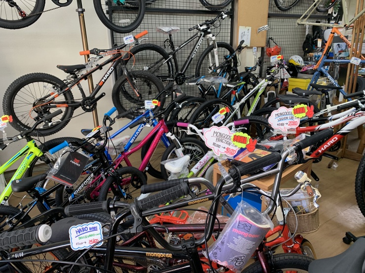 スエザワサイクル