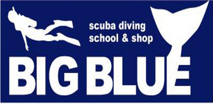ＢＩＧＢＬＵＥダイビングスクール