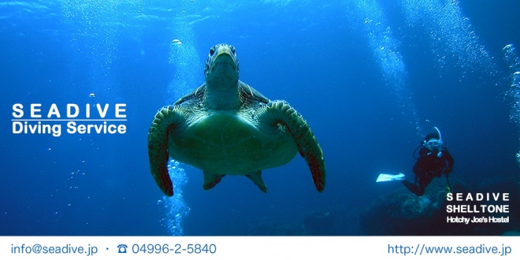 シーダイブ