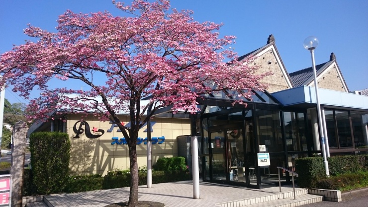 アンタレススポーツクラブ