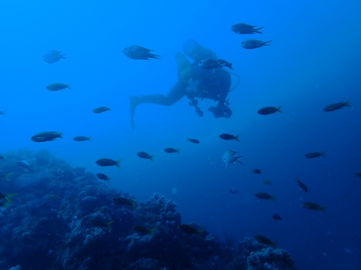 ダイビングショップアクアウェーブ