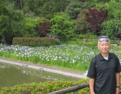 6月は菖蒲が美しかったです！