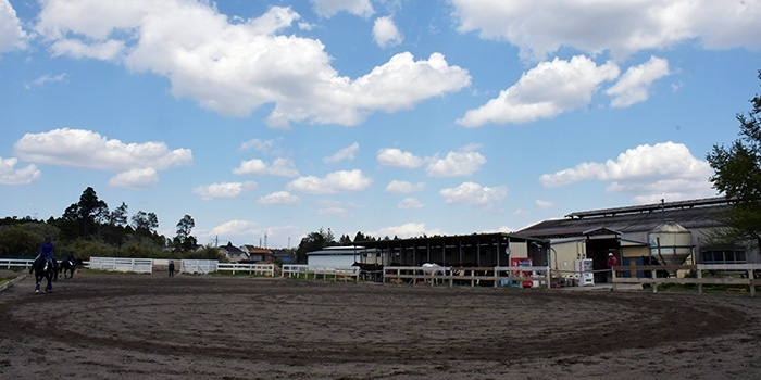 アニマル・ベジティション・カレッジ