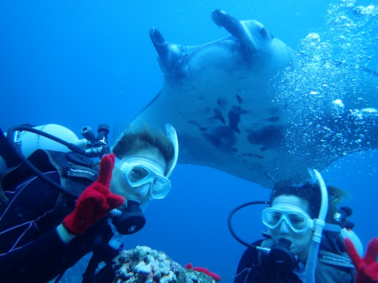 ビーブルー石垣島ダイビングサービス