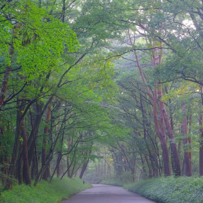 国営武蔵丘陵森林公園