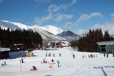 スキー Hashimo Tsuchiya Home Ski Club | 2025.2.26(WED) 📷: 第53回札幌