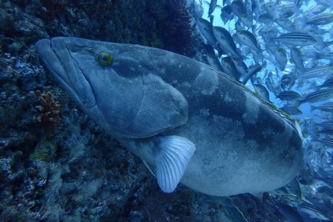 西川名オーシャンパーク