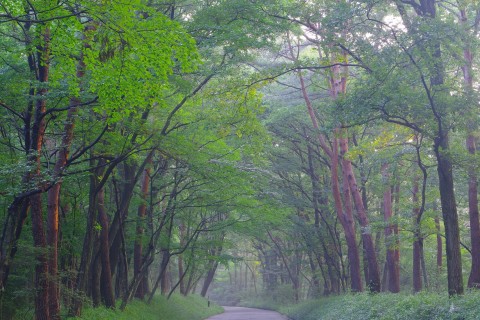 国営武蔵丘陵森林公園
