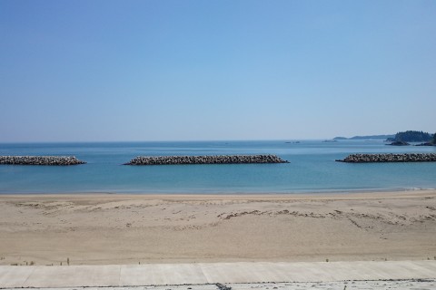 かぶとむしサーフショップ