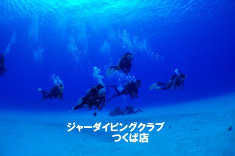 ジャーダイビングクラブつくば店
