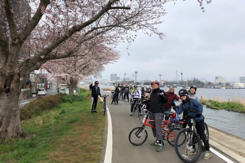 土浦＆阿見うっとりお花見自転車散歩　　りんりんポート土浦発着40km