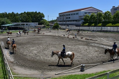 オリンピッククラブ