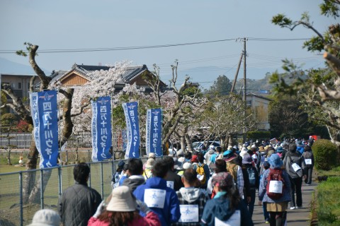 第31回　四万十川リバーサイドフルウォーク2020