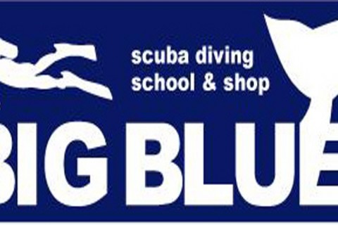 ＢＩＧＢＬＵＥダイビングスクール