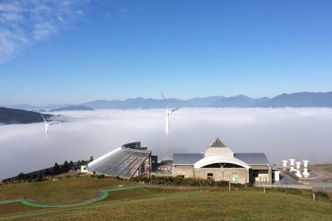 ゆとりすとパークおおとよ