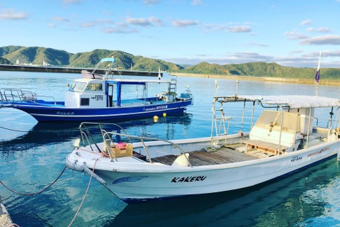 あまみこダイバー