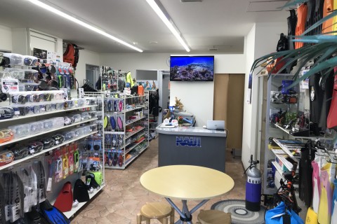 シーパラダイスピコ