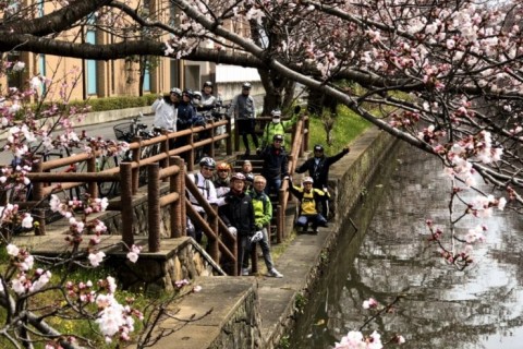 城下町土浦りんりんお花見自転車散歩　　りんりんポート土浦発着30km