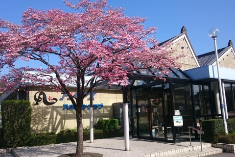 アンタレススポーツクラブ