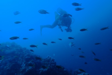 ダイビングショップアクアウェーブ