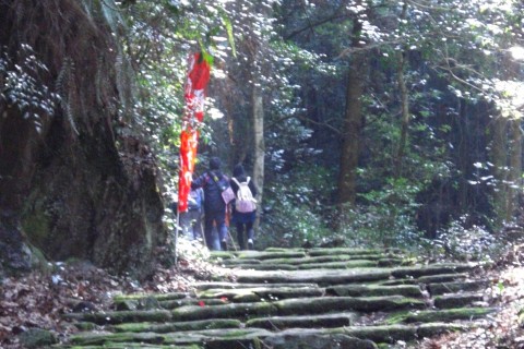 第15回　日向往還歴史ウォークＩＮ山都町