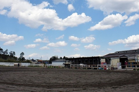 アニマル・ベジティション・カレッジ