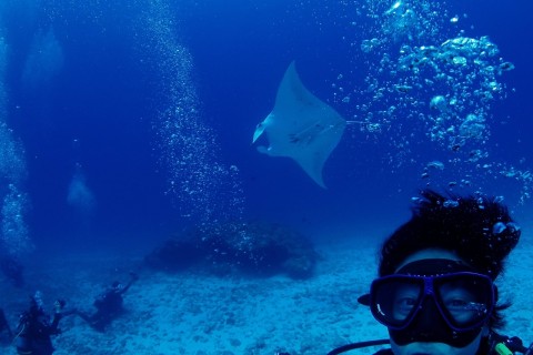 沖縄ダイビングサービスＭＡＮＡ