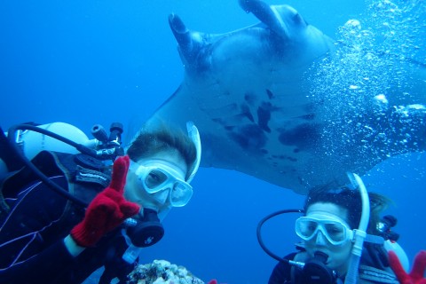 ビーブルー石垣島ダイビングサービス